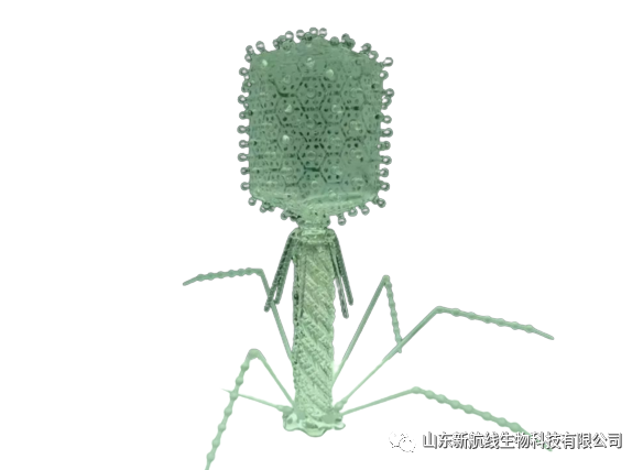 Clinical Case | The Bio-Savior Against Multi-Drug Resistant Superbugs!