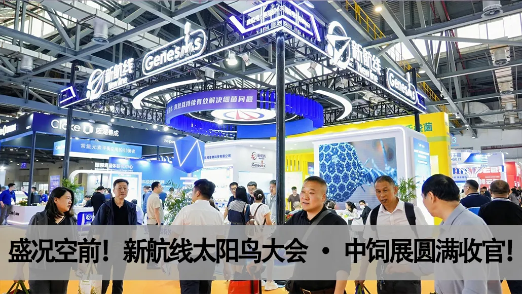 Expo Day 1 | Shandong New-Line Bio Booth Welcomes Record Numbers of Distinguished Guests