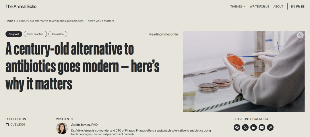 Under the Global Veterinary Antimicrobial Reduction Trend: Why WOAH and International Bodies Urge Global Adoption of Bacteriophages