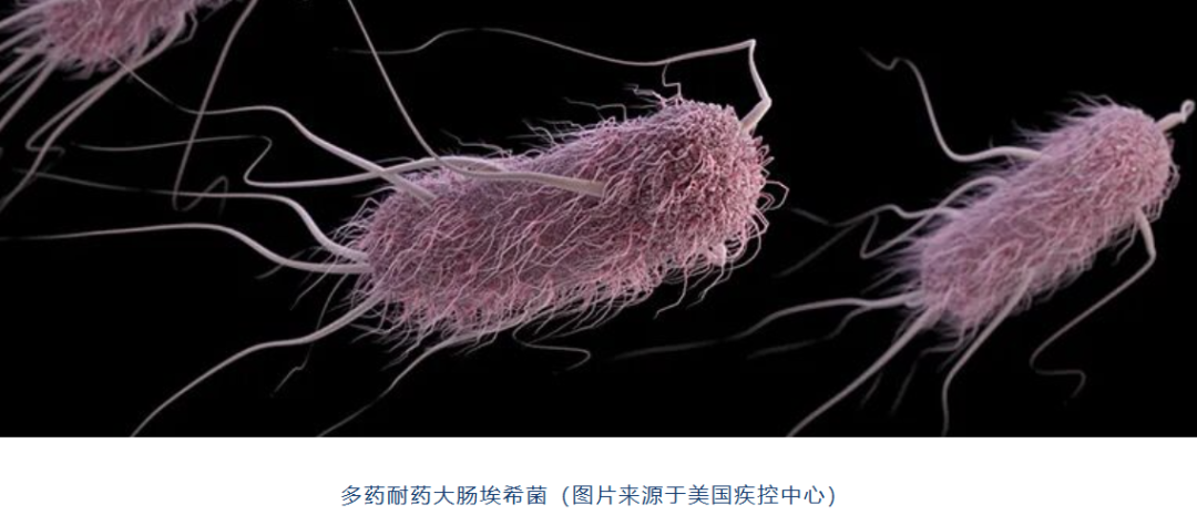 APEC耐药性与饮水噬菌体研究数据图